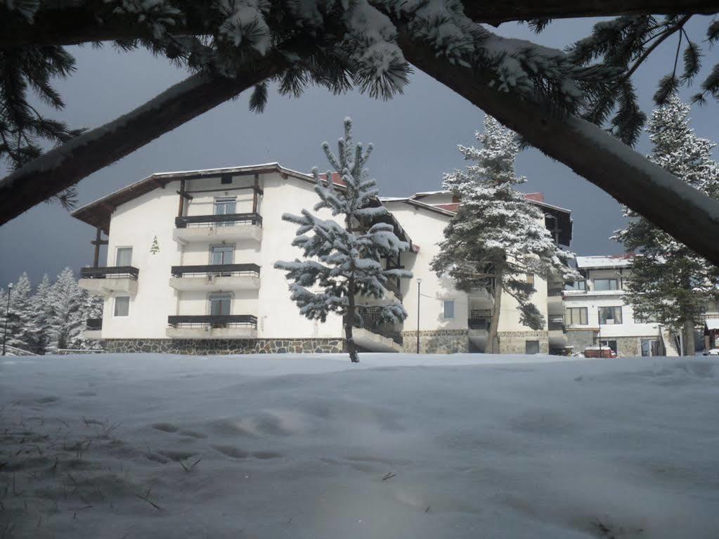 Bor Hotel Belitsa  エクステリア 写真