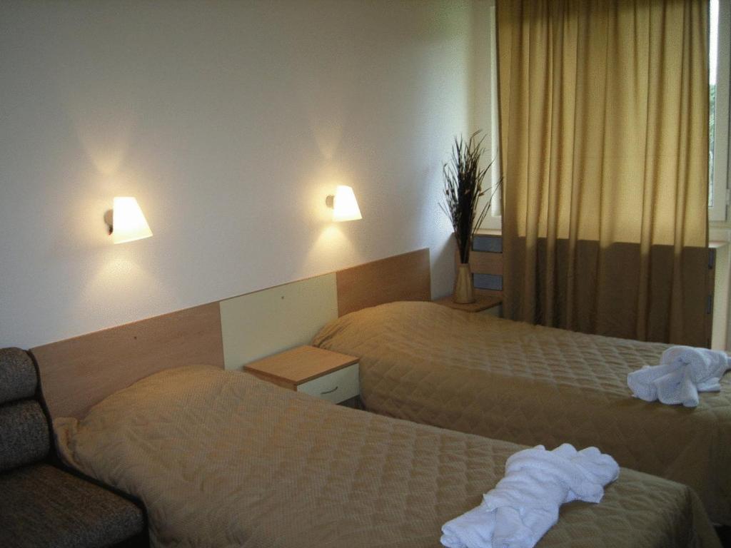 Bor Hotel Belitsa  エクステリア 写真