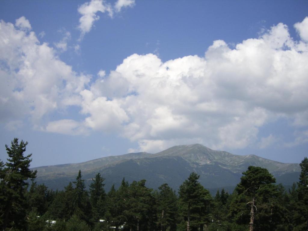 Bor Hotel Belitsa  部屋 写真