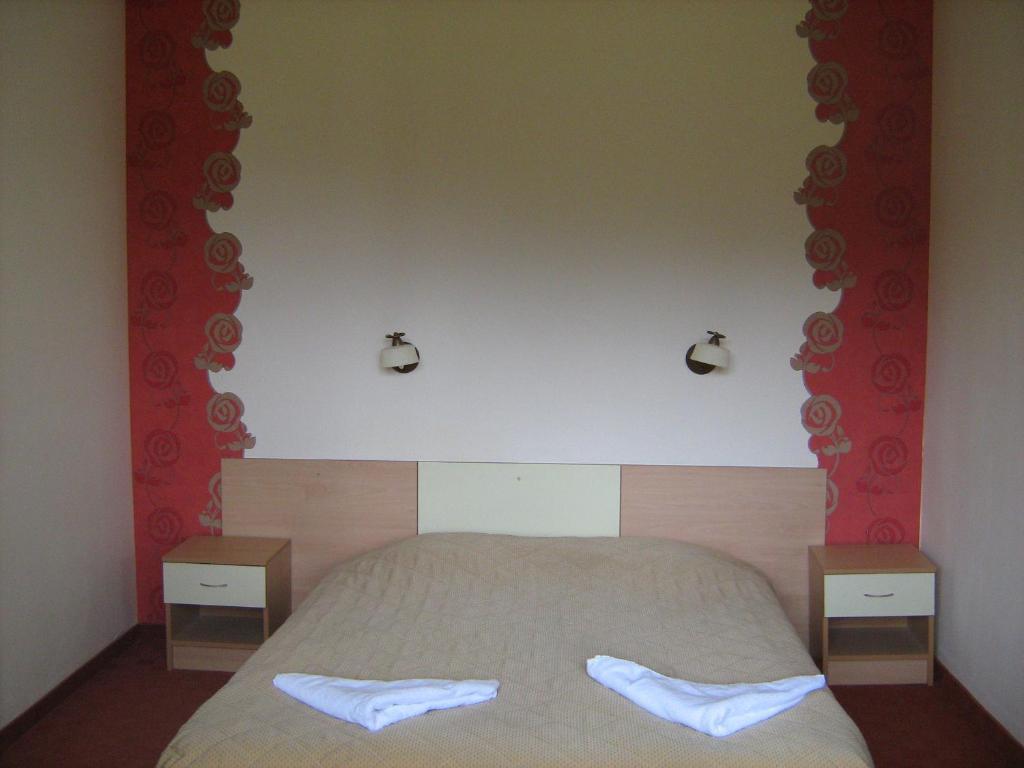 Bor Hotel Belitsa  部屋 写真